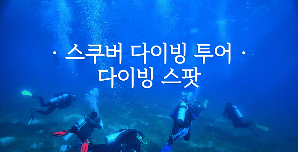 스쿠버 다이빙