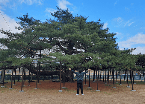 6월 여행가는달, 특별한 체험이 기다리는 국내 여행지 4곳