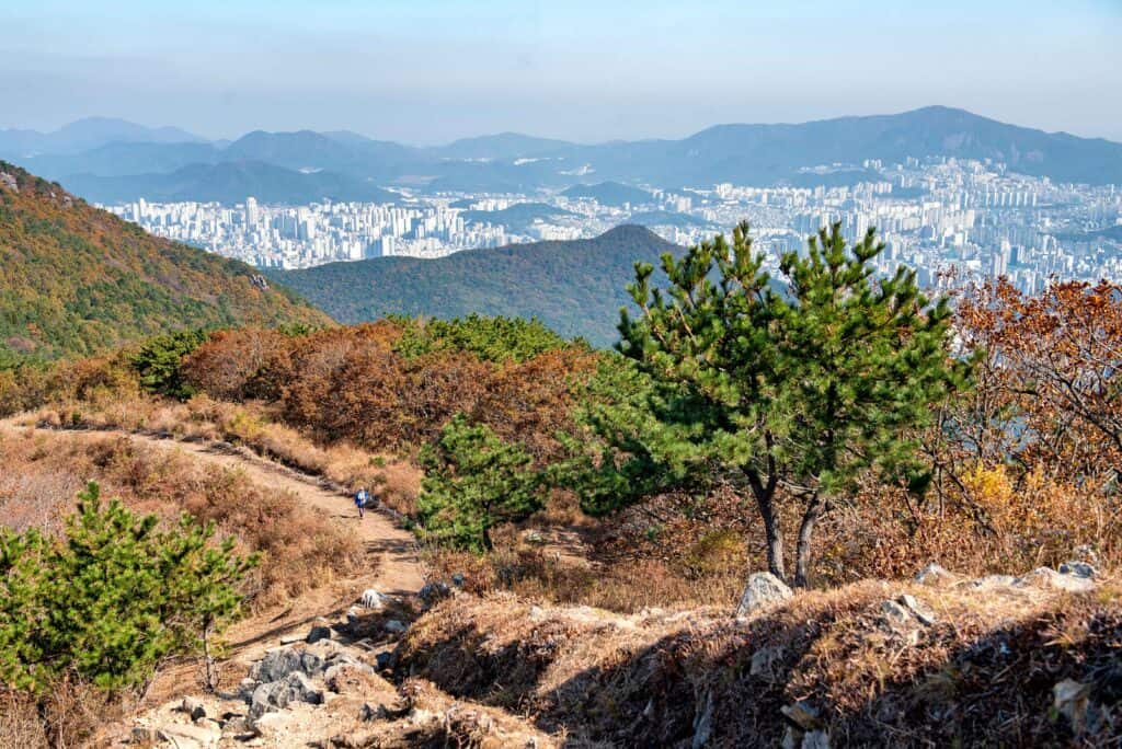 백양산 나들숲길 제2코스 새암길