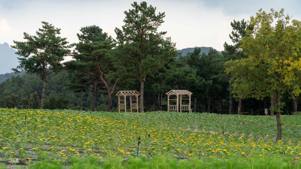 철원 고석정