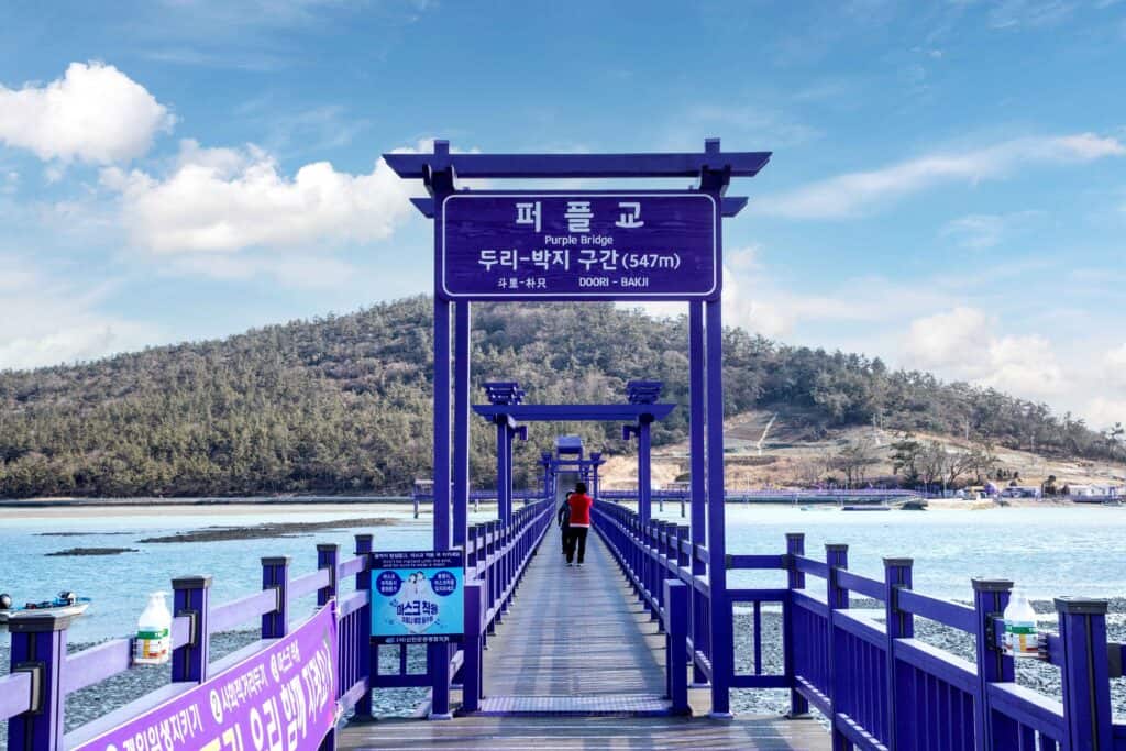 신한 퍼플섬