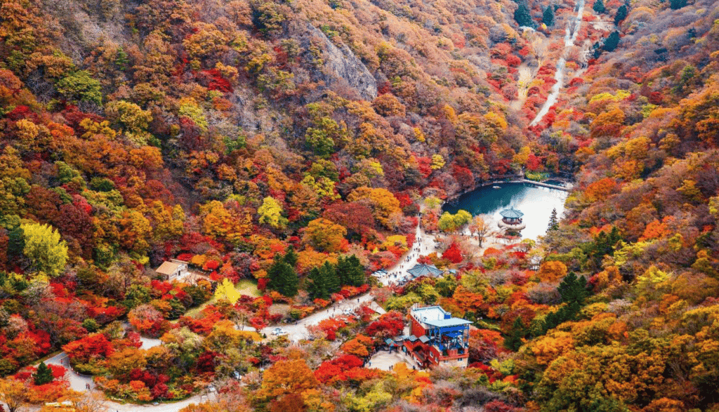 전라도 내장산