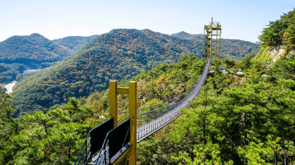 충북 속리산테마파크