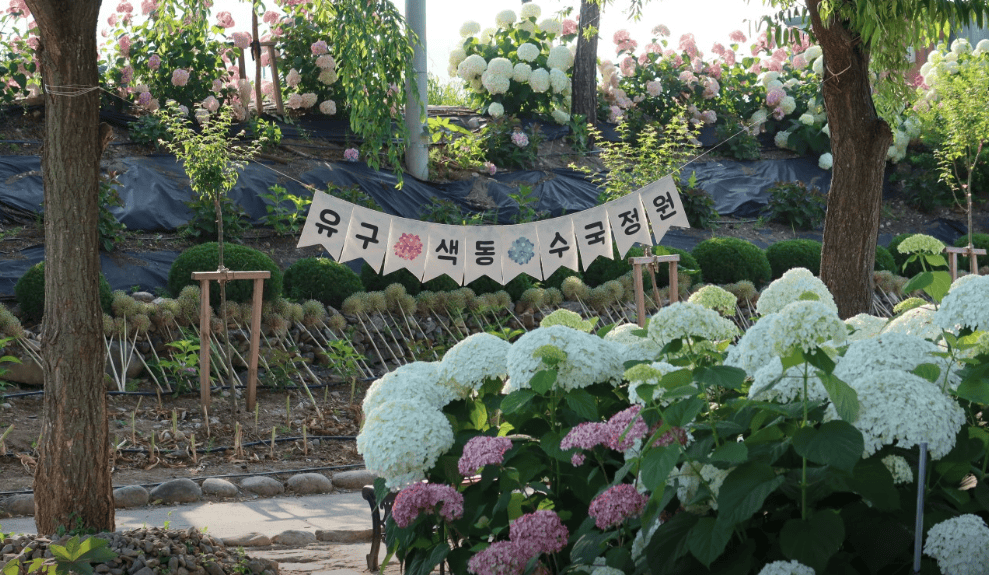 공주 유구색동수국정원