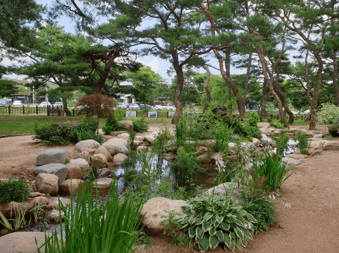 충북 제천 의림지 솔밭길