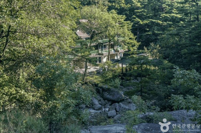 강원도 대관령 자연휴양림