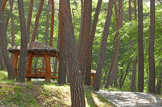 충청남도 만수산 자연휴양림