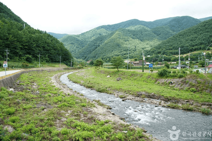 정선 가리왕산마을