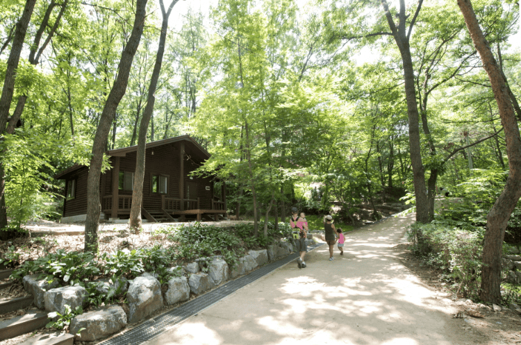아산 영인산 자연휴양림