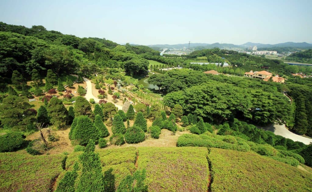 베어트리파크