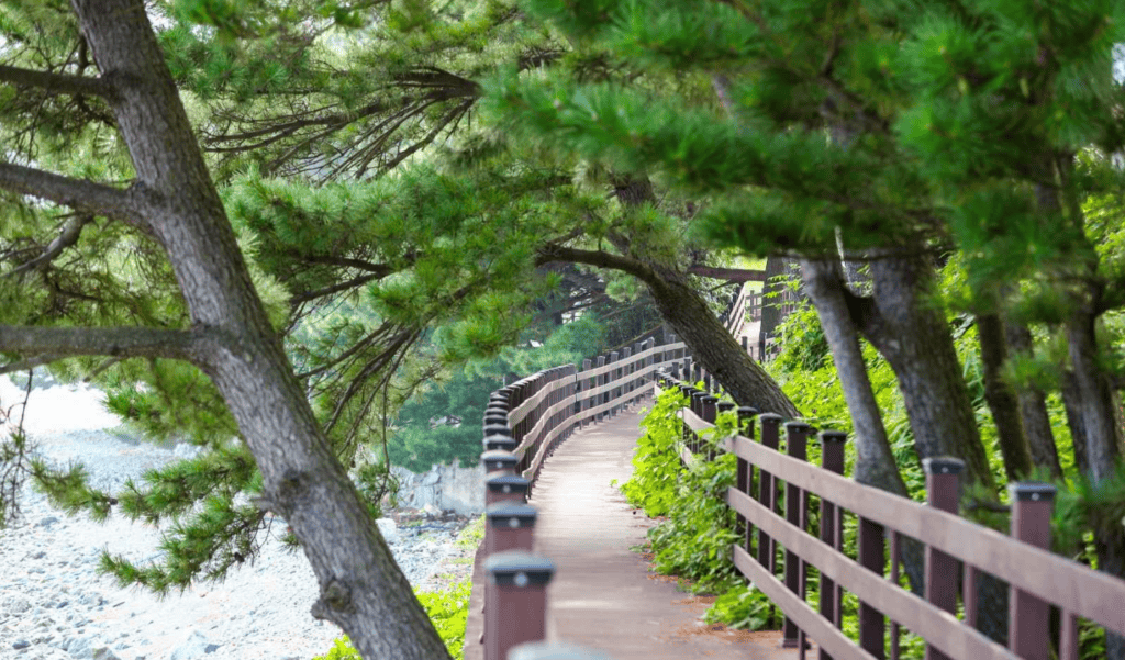 학동 흑진주 몽돌해변