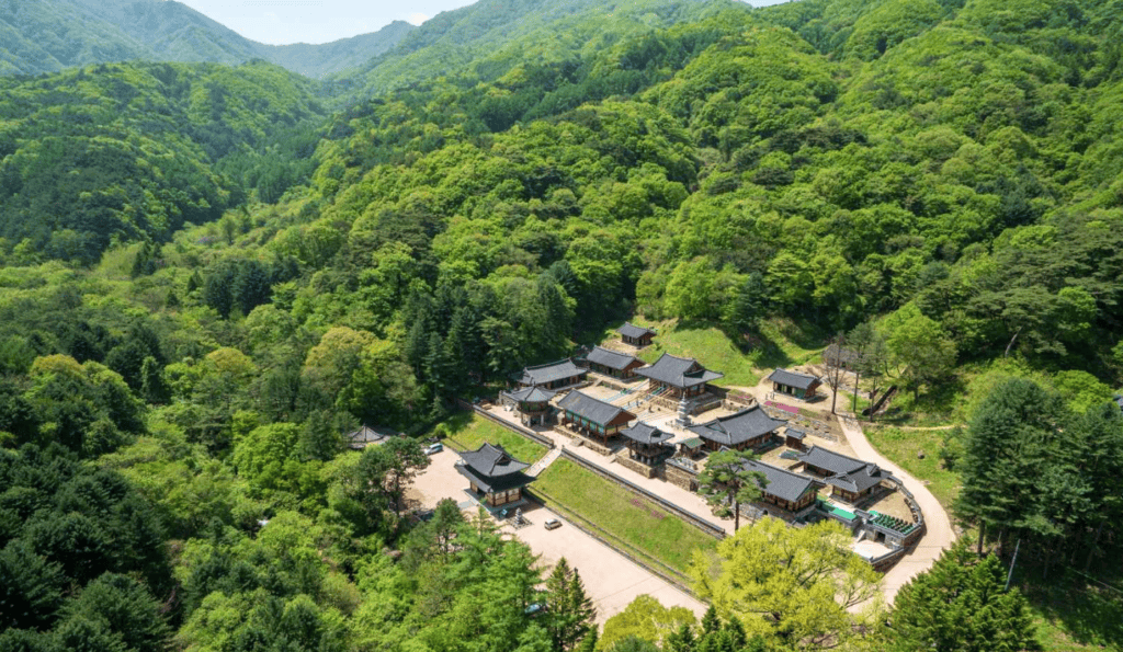 원주 구룡사
