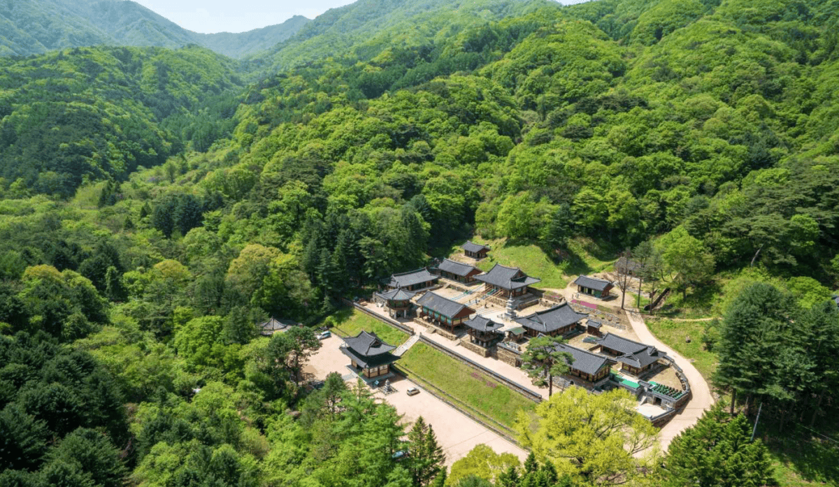 “여기 숨겨져 있었다니!”… 강원도 원주의 숨겨진 명소 BEST 4