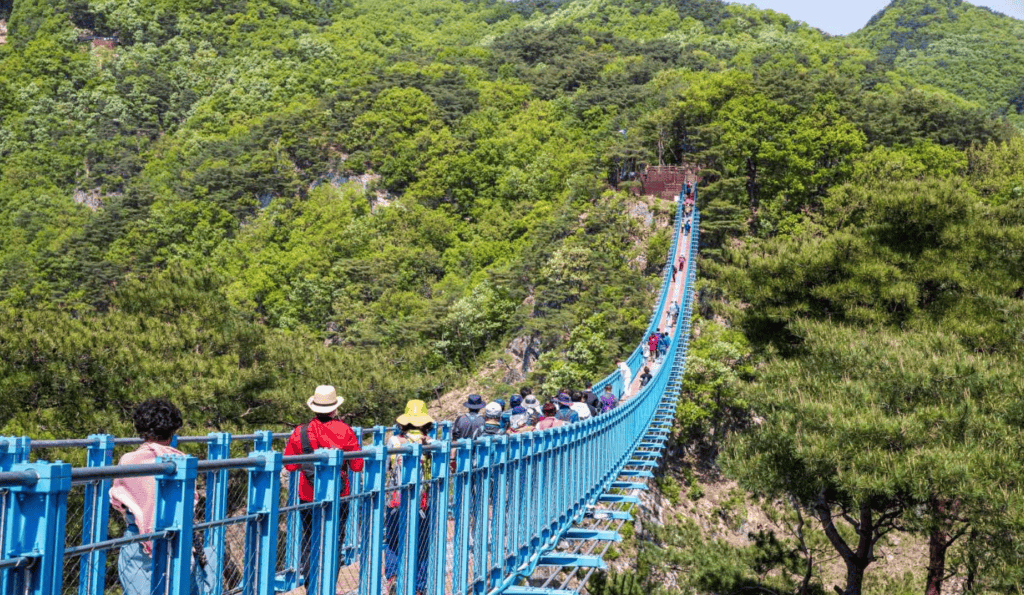 원주 소금산 출렁다리