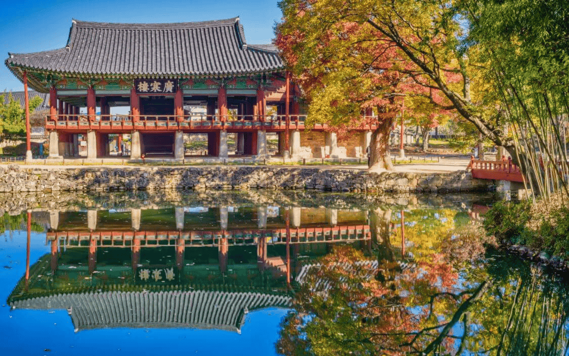 10월에 꼭 가봐야 할 국내 여행지 추천! 가을의 아름다움을 만끽하는 5곳