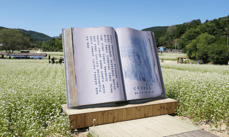 평창 효석 문화마을