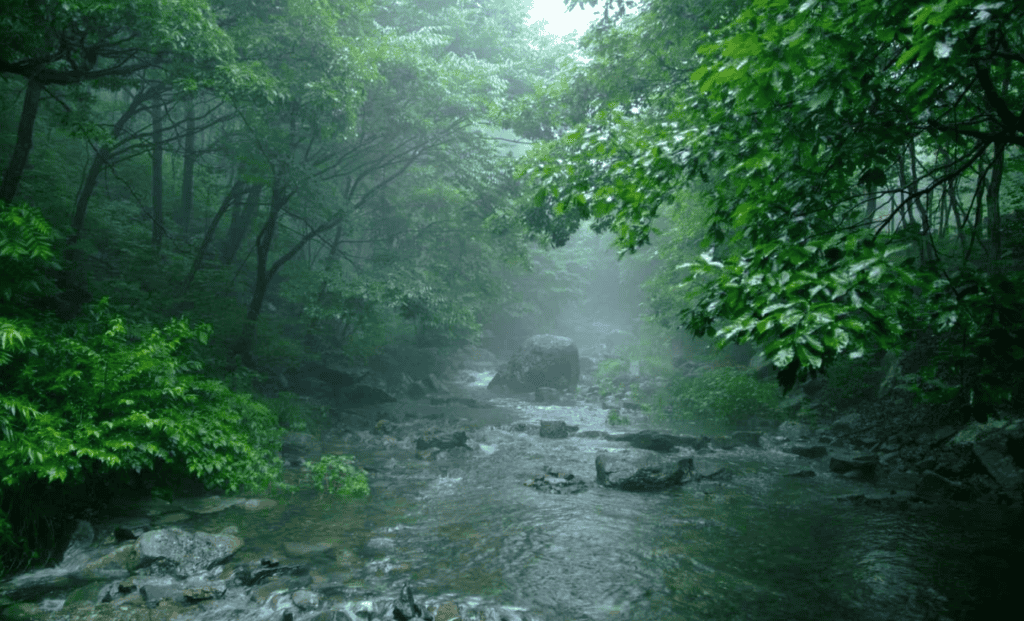 성주산 자연휴양림
