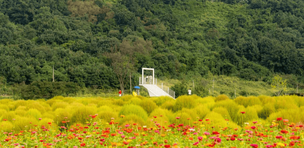 댑싸리공원