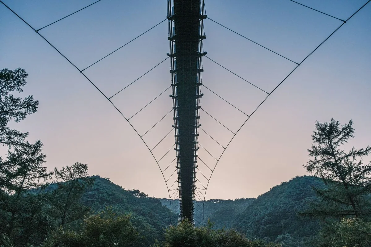 Editor's Pick