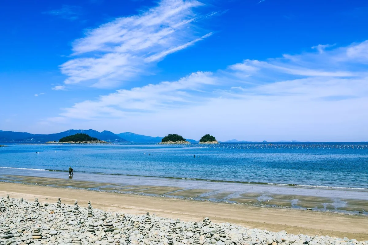 보령머드테마파크