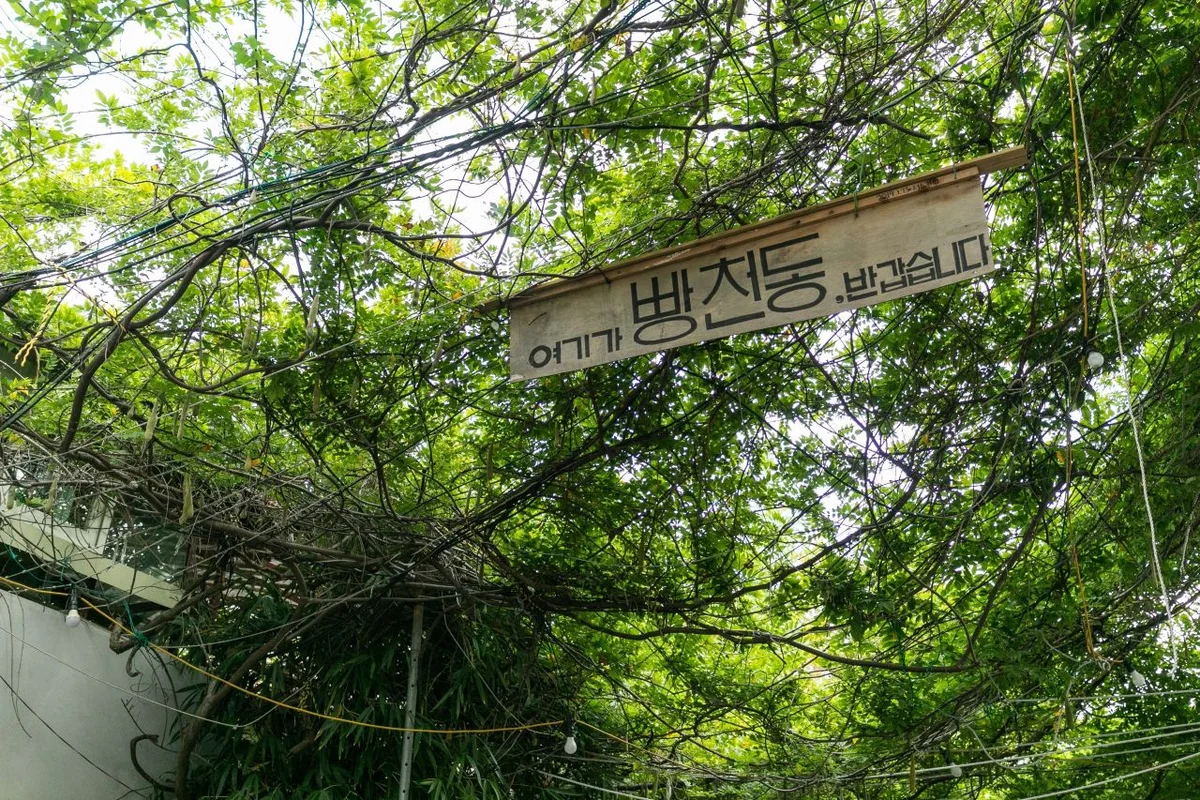 옵스 (OPS)