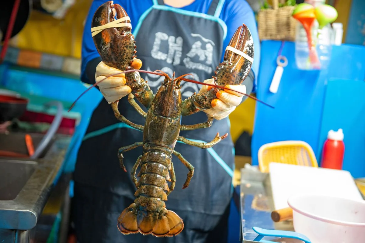 해운대 포장마차촌