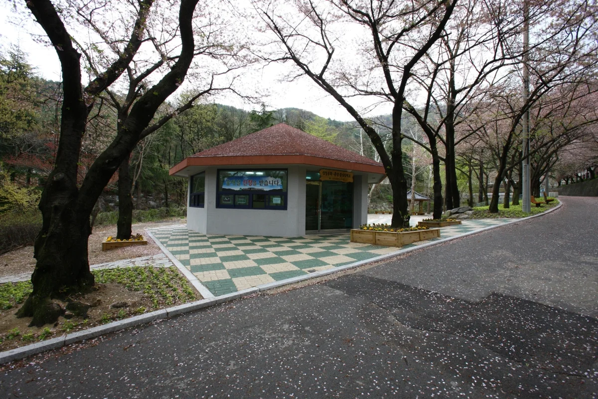 김광석 거리에는 어떤 먹거리가 있나요?