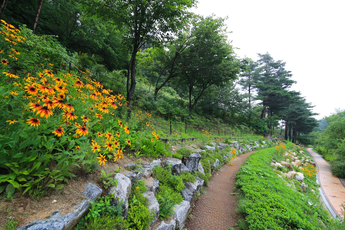 하늘 연못과 설경 포토존