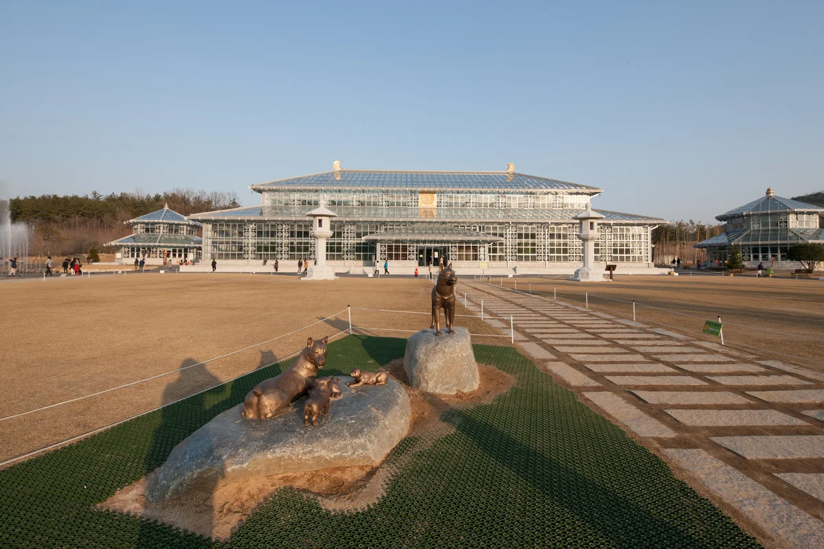 대릉원 겨울 산책
