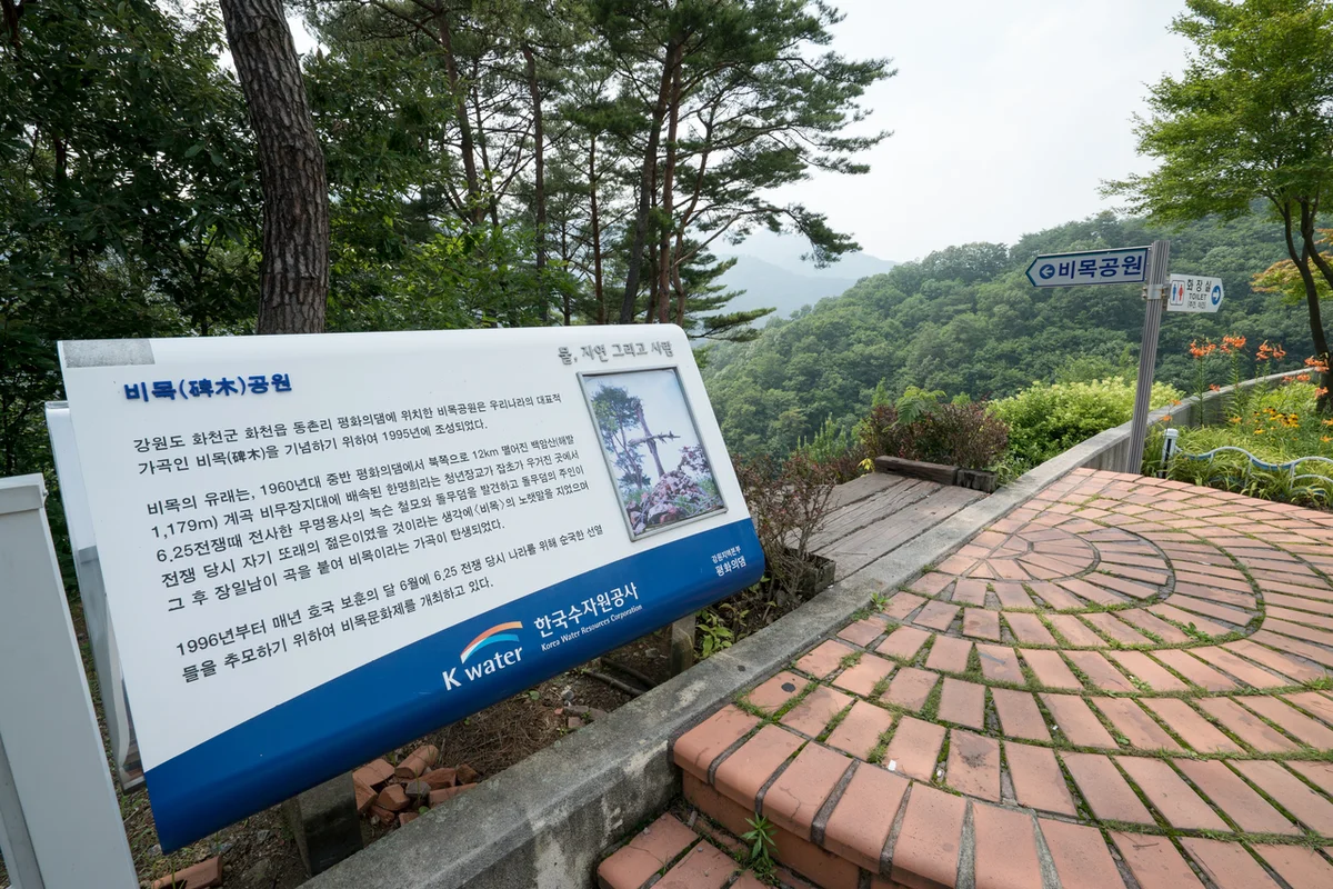 평화의 댐