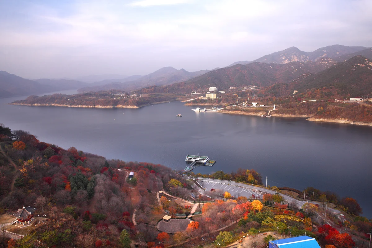 제천 약초시장