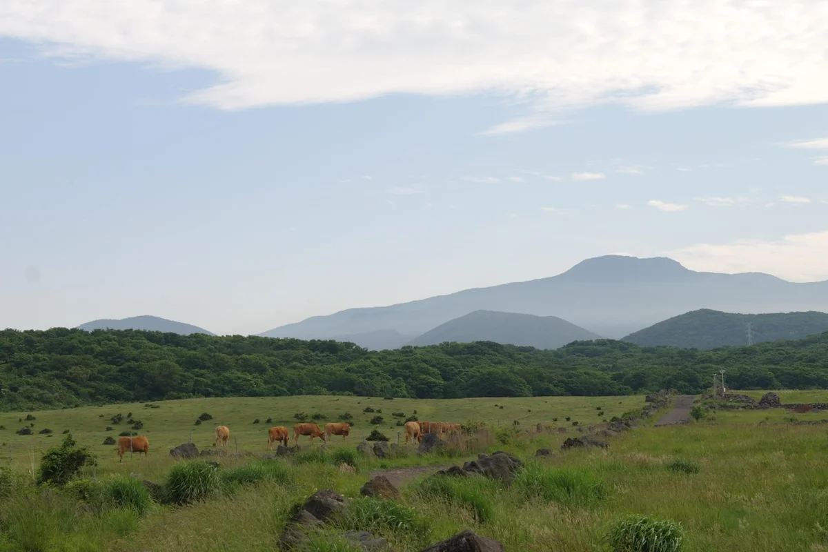 제주돌문화공원