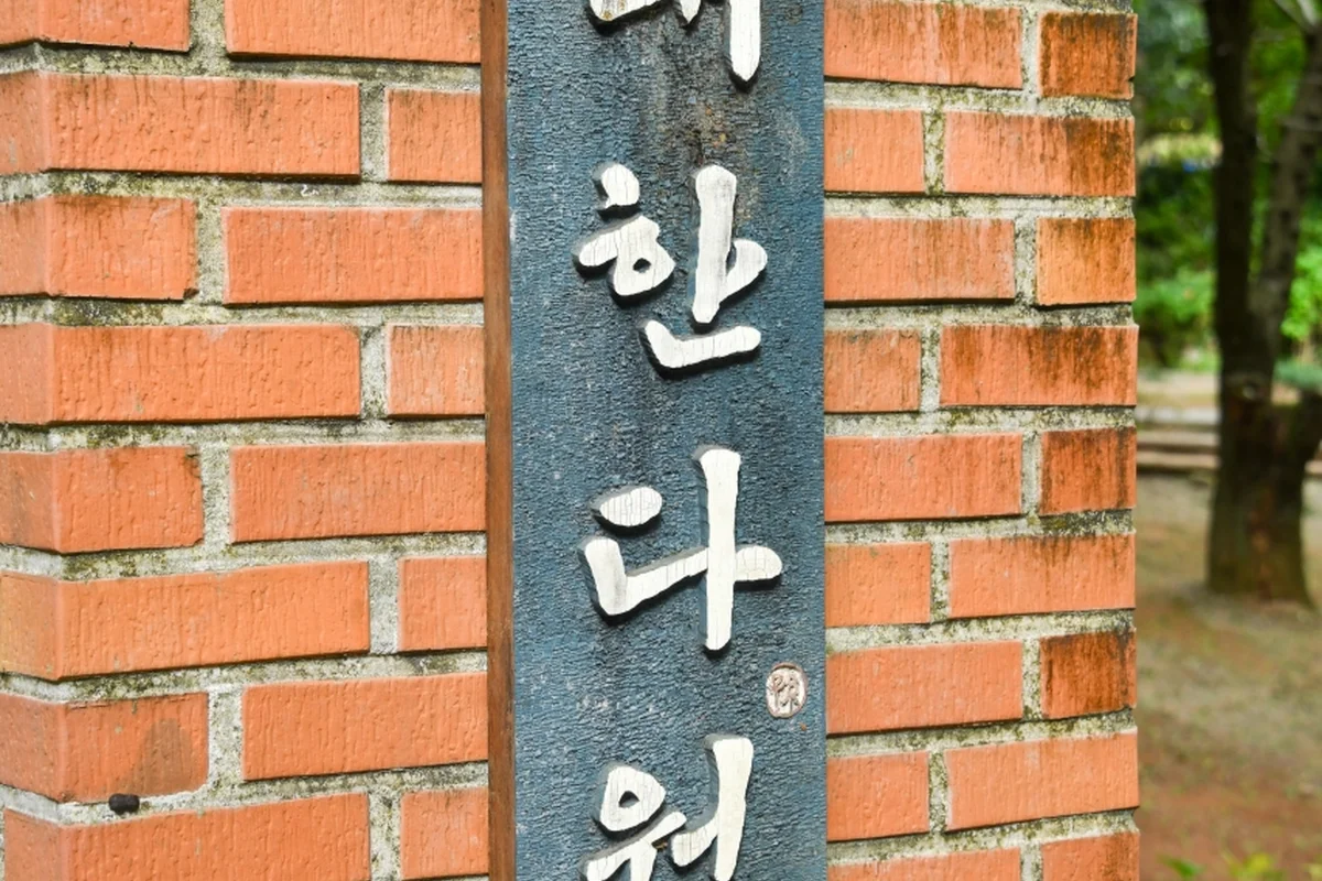보성 녹차밭 대한다원