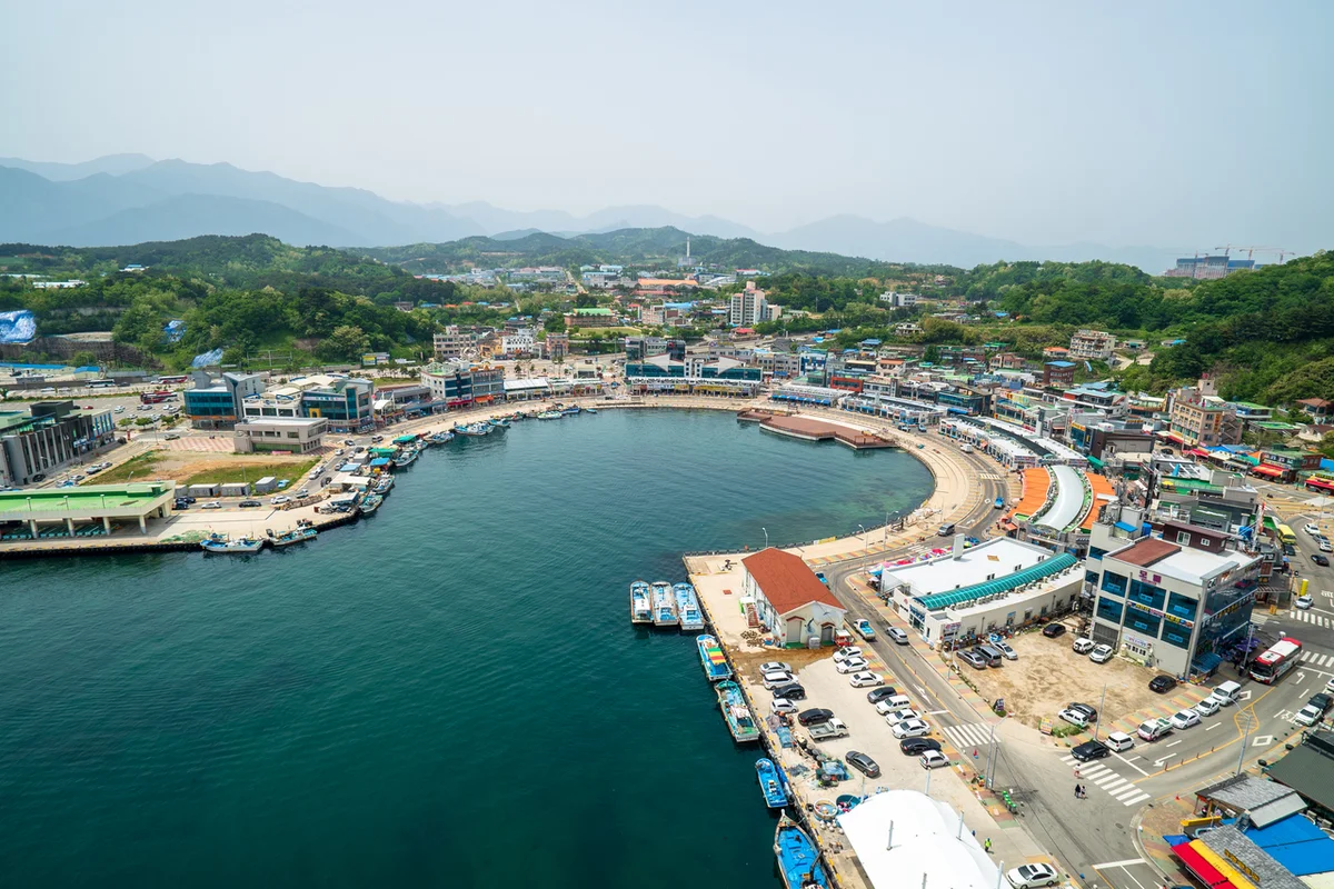 대포항