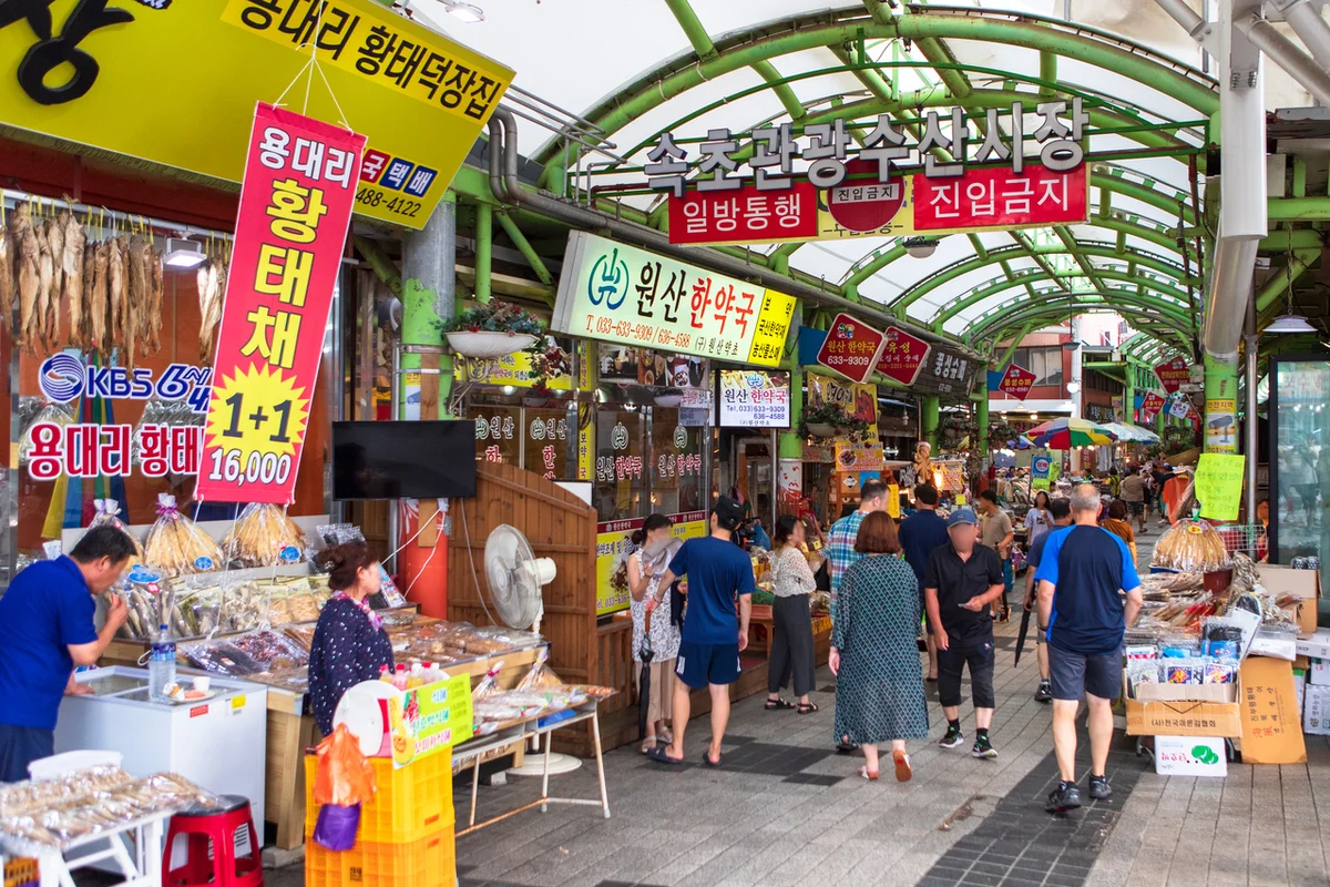 씨크 루즈 호텔 속초 감성으로 즐기는 겨울 속초