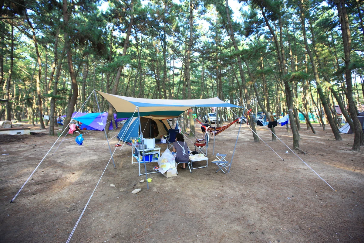 몽산포해수욕장