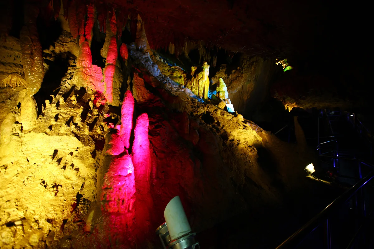 천곡황금박쥐동굴