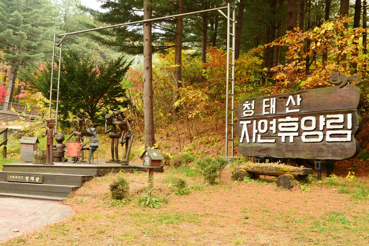 태기산