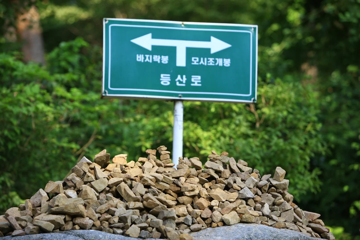 안면도 자연휴양림