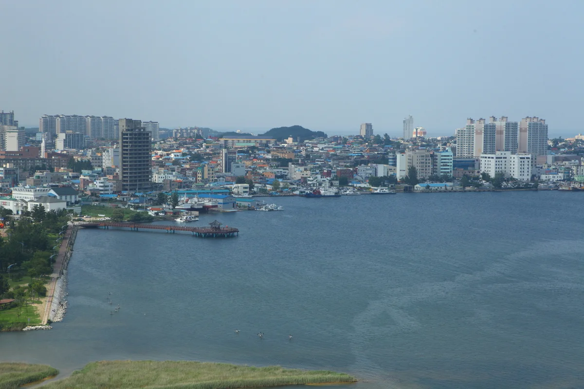 청초호
