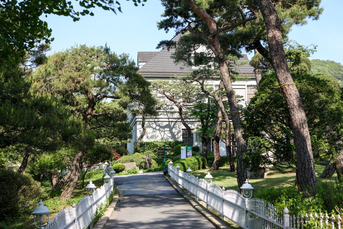 전망 좋은 북스테이 하우스