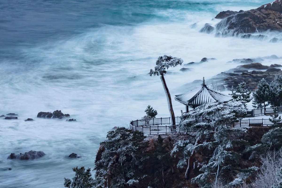 죽도해변