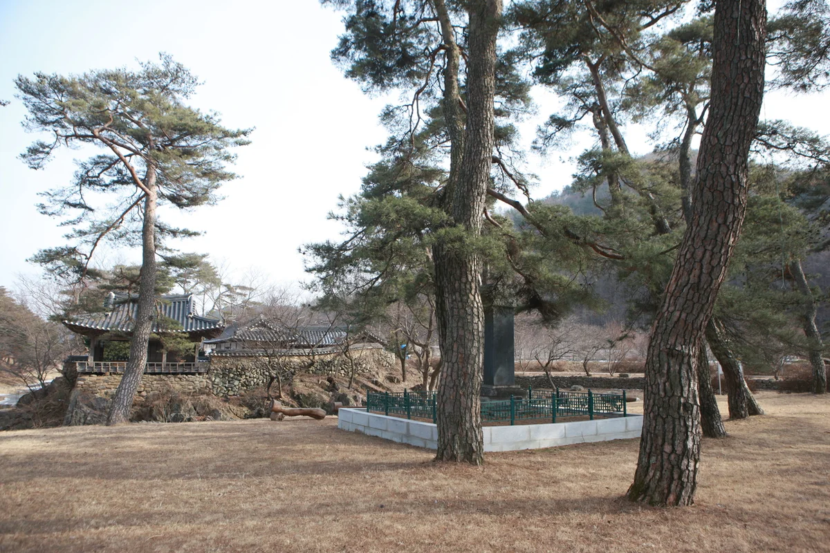 선몽대