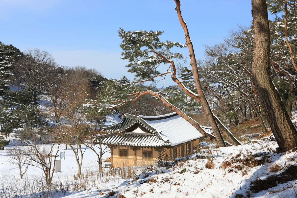 고창읍성산책로 - 고창여행 여행
