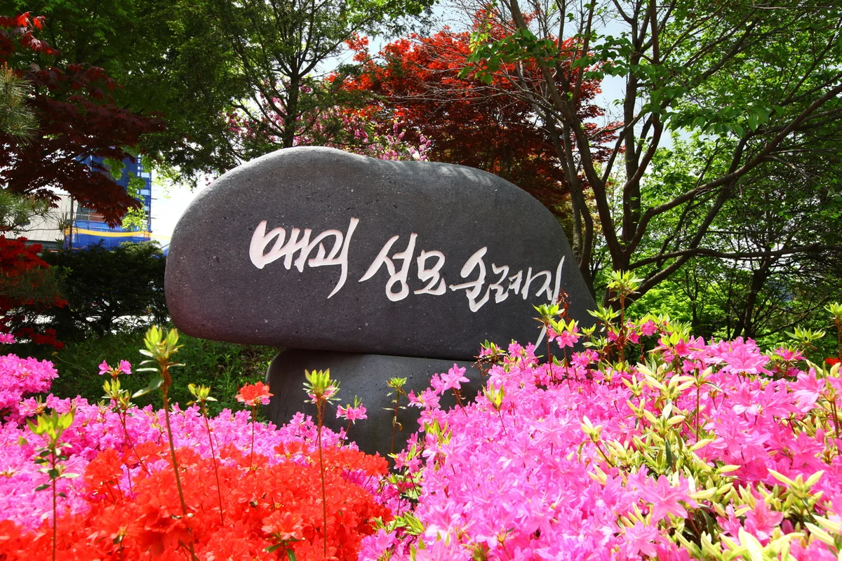 음성 겨울 가볼만한곳, 2026년 놓치지 말아야 할 명소 5곳