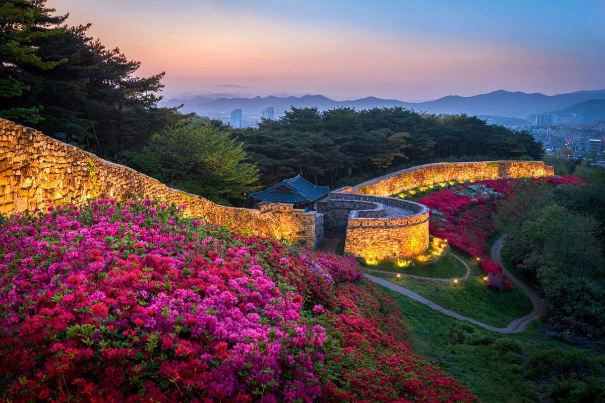 선운사 - 고창군 야경 여행