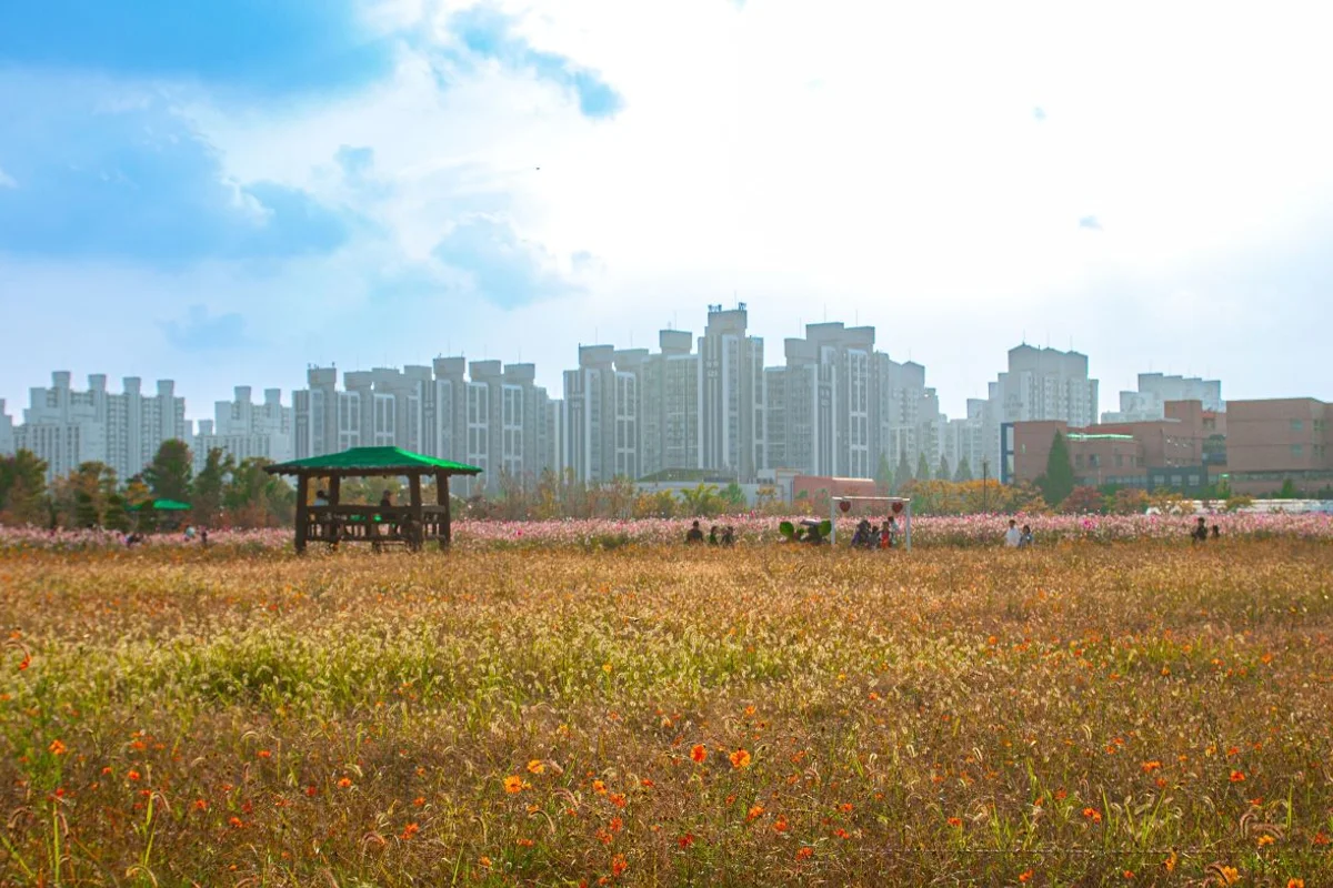 양구 지게마을 - 양구 여행