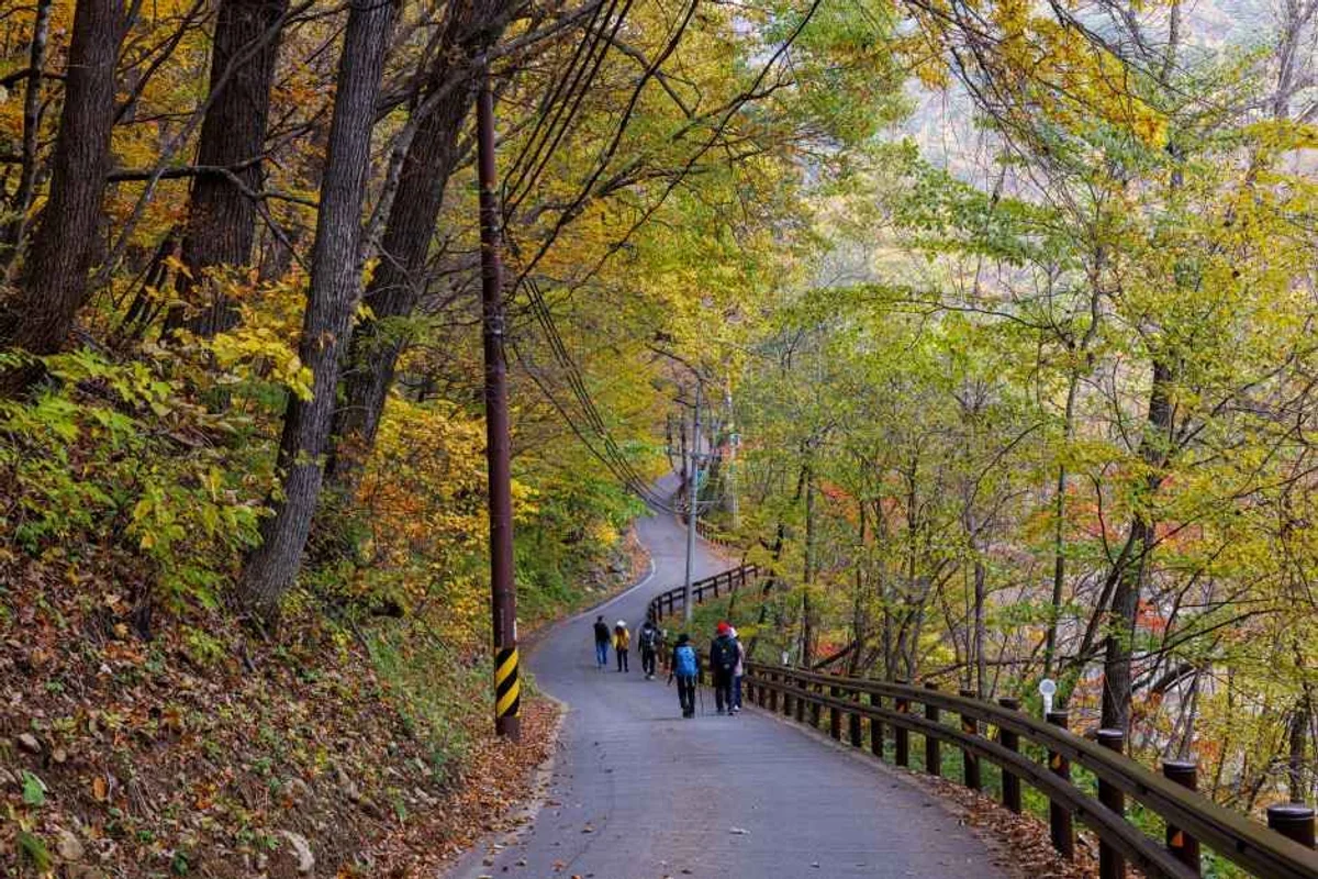 설악산 자전거 도로 - 설악산 여행