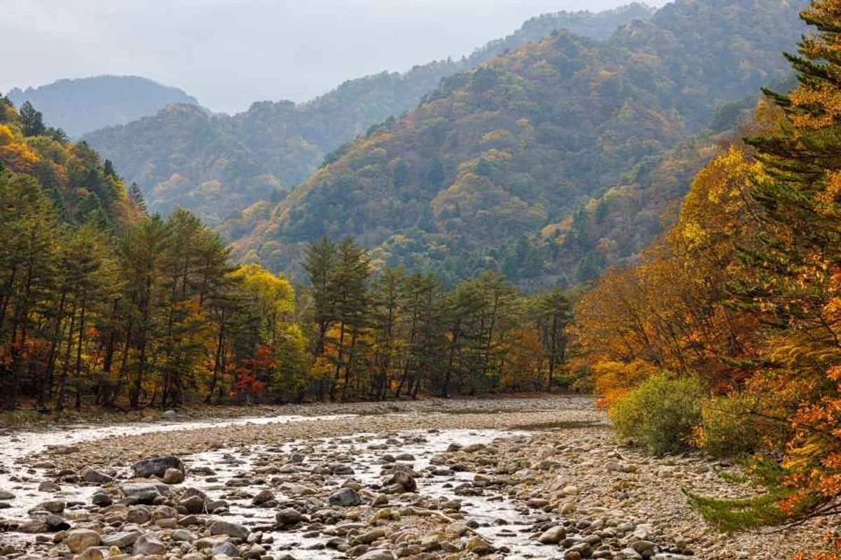 척산온천휴양촌 - 설악산 여행
