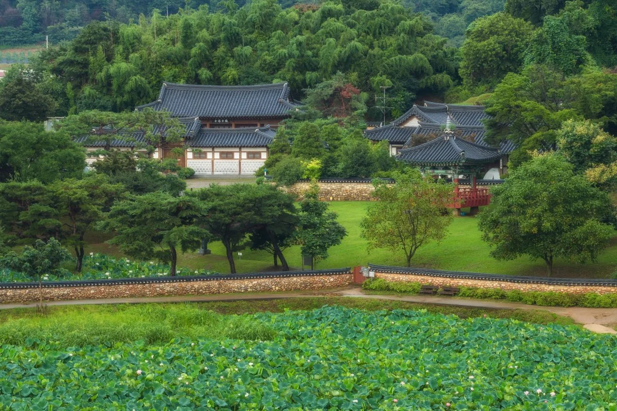 월곶포구